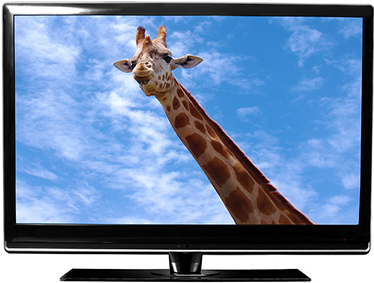 Dè an diofar eadar Tbh ​​LED agus LCD TV